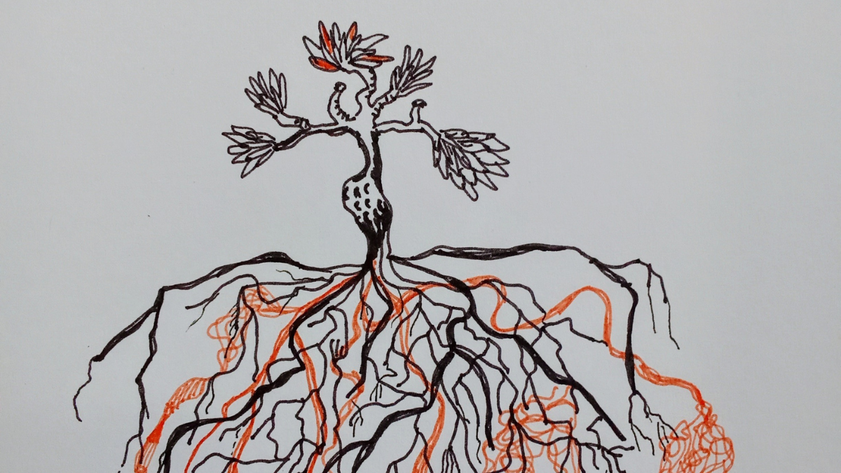 17 juillet – 18h // Déambulation théâtralisée, musicale & sonore – La forêt crisse